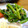 ちよえちゃん's cooksnap of when they made ちょうどｲｲ味☆ ほうれん草のごま和え.