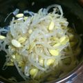 ひなっちち's cooksnap of when they made 豆もやしナムルを塩麹で。.
