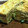 Beek's cooksnap of when they made 関西風だし巻き(砂糖不使用).
