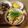 mintan48's cooksnap of when they made ルクエで！たけのこご飯！.