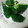 かぴーな's cooksnap of when they made 簡単!! ごま塩きゅうり.