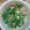 みなーぴー's cooksnap of when they made みず菜とちくわの酢味噌和え.