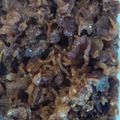 にゅりぴょん's cooksnap of when they made ご飯おかわり！じゃこと牛肉のしぐれ煮.