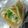 プリンぷぅ★'s cooksnap of when they made 朝食にも☆サラダロール.