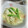 ＴＯＭＯＷＡＴ's cooksnap of when they made たけのこの柔らか卵とじ.
