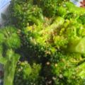 はっぴーはりぼ's cooksnap of when they made ブロッコリーの簡単ごまごまサラダ.