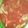 meruru9's cooksnap of when they made つみれDEトマトスープ☆.