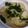 ☆かな☆B's cooksnap of when they made 筍とわかめの煮物.