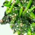 おみこみこ's cooksnap of when they made 電子レンジで簡単！ほうれん草の胡麻和え★.