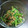 べっち～！'s cooksnap of when they made なめこ　ほうれん草の柚子胡椒　納豆和え.