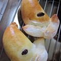 こずっぺ's cooksnap of when they made いぬのパン★プードルのクリームパン.