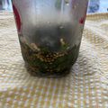 わたさな2016's cooksnap of when they made 万能 保存が効く大葉のゴマ油＆醤油漬け.