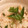 おさめ's cooksnap of when they made ✿ せりと牛蒡の優しい炊き込みご飯✿.