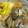 SILK0205's cooksnap of when they made あさりと油揚げのさっぱり鍋.