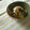 さとっち★'s cooksnap of when they made ＊ルクエdeなすのごま和え＊.