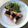 ハッピーさお's cooksnap of when they made お魚嫌いの子供に☆白身魚の磯辺焼き.