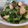 ＪＵＮＥＳ's cooksnap of when they made わけぎで簡単ぬた.