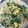 ゆうた丸's cooksnap of when they made もやし・にら・卵炒め.