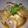 えりーポッター's cooksnap of when they made 豚の信田巻き.