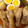 Romane's cooksnap of when they made 手羽元のこっくり煮＊煮卵つき♪.