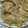 こてみぃ's cooksnap of when they made ウマウマ♪　簡単　豚の生姜焼き.