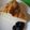 kndjnk's cooksnap of when they made *簡単☆ベイクドヨーグルトケーキ*.