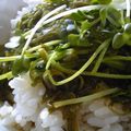 がるばんぞママ's cooksnap of when they made ☆　めかぶとえのきの辛子味丼　☆.