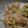 トレピアンテ's cooksnap of when they made 茄子と玉ねぎのオーブン焼き♪.