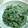 myukitty's cooksnap of when they made ほうれん草のあぶらえ（えごま）和え.