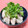 スマイルちょこ's cooksnap of when they made ささみとかいわれ菜のさっぱり和え.