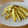 Hana＠home's cooksnap of when they made さつま芋のクミン炒め.