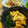 chibidas's cooksnap of when they made 簡単♥若竹煮♥筍(たけのこ)とわかめ煮♥.
