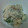 そめはる's cooksnap of when they made 大根ときゅうりのわさびマヨ和え.