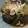 山形のこんちゃん's cooksnap of when they made マグロの血合い肉の煮つけ.