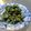 kookuro's cooksnap of when they made わらびをご飯に‼.