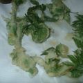 はーとねこ's cooksnap of when they made ウドの葉で天麩羅.