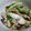 hitomiyasu's cooksnap of when they made チンゲン菜と豚肉の中華炒め.