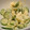 ヨシヨッシー's cooksnap of when they made 簡単！シラスときゅうりのサラダ.
