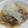 まりゆりひろこ's cooksnap of when they made 舞茸と牛肉のレンジ蒸しさっぱりおろし和え.