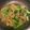 tomonono's cooksnap of when they made 牛肉とニラと春雨☆オイスターソース炒め♪.