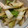 tsmitaka's cooksnap of when they made ポリ袋で簡単☆白菜の中華風浅漬け.
