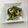 あっこ姉's cooksnap of when they made 竹輪ときゅうりの薬味サラダ.