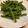ミミミムーン's cooksnap of when they made 簡単! にんにくの芽のオイスター炒め.