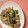 ゆーみんです's cooksnap of when they made 簡単！スパムとピーマンのおかか炒め.