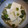 emilling's cooksnap of when they made そら豆の♪とろとろ豆腐.