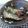 あけちゃ0603's cooksnap of when they made 秋刀魚の梅干煮.