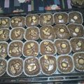 ＊Luna's cooksnap of when they made FudgyでChewyなブラウニー.