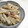 新妻あや's cooksnap of when they made 長芋とベーコンの白だし炒め.