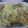 ＊クリオネ＊'s cooksnap of when they made 電子レンジで鶏肉の酒蒸し柚子胡椒風味.