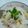bancho1208's cooksnap of when they made たけのこごはん.